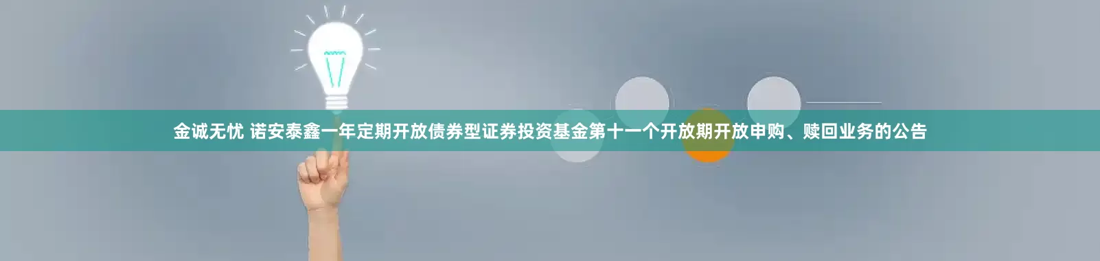 金诚无忧 诺安泰鑫一年定期开放债券型证券投资基金第十一个开放期开放申购、赎回业务的公告