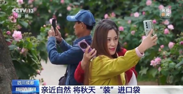 金来源配资 “捡秋”有风险 “尝鲜”需谨慎！牢记这些可避隐患