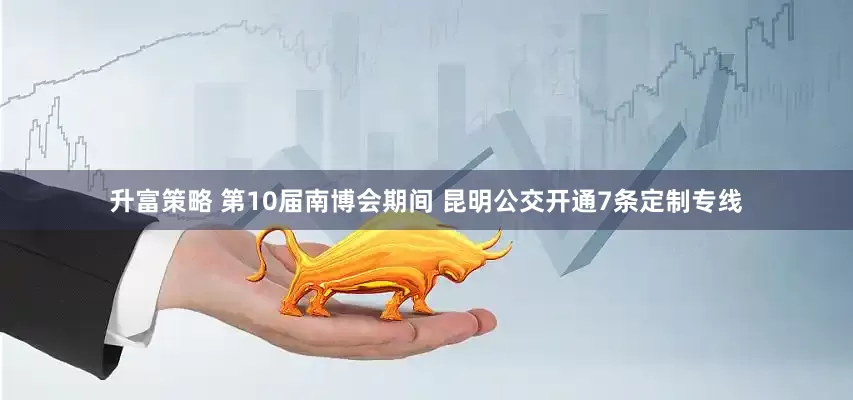 升富策略 第10届南博会期间 昆明公交开通7条定制专线